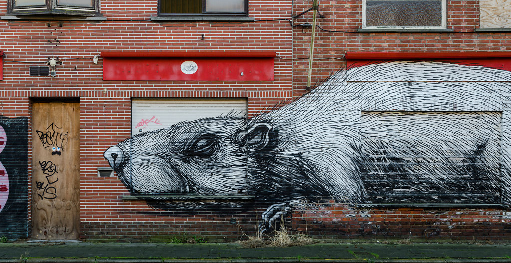 Honey, there's a Rat behind the Door