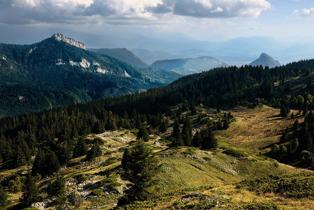 Les Clairières