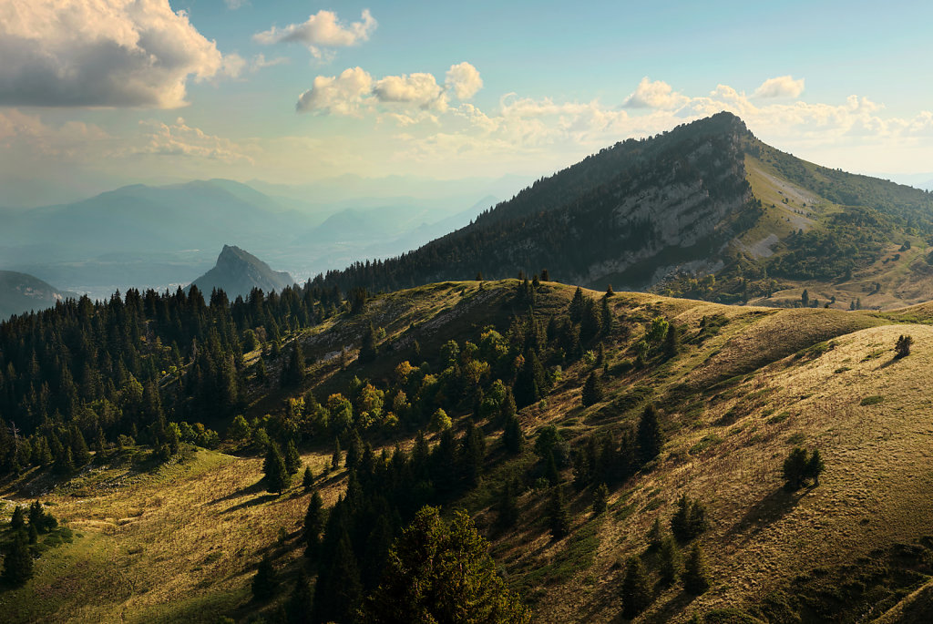 Roches et Forêts